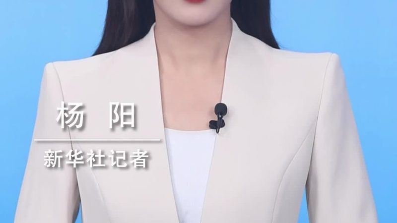 搭建高效机器学习平台：架构安装流程详解